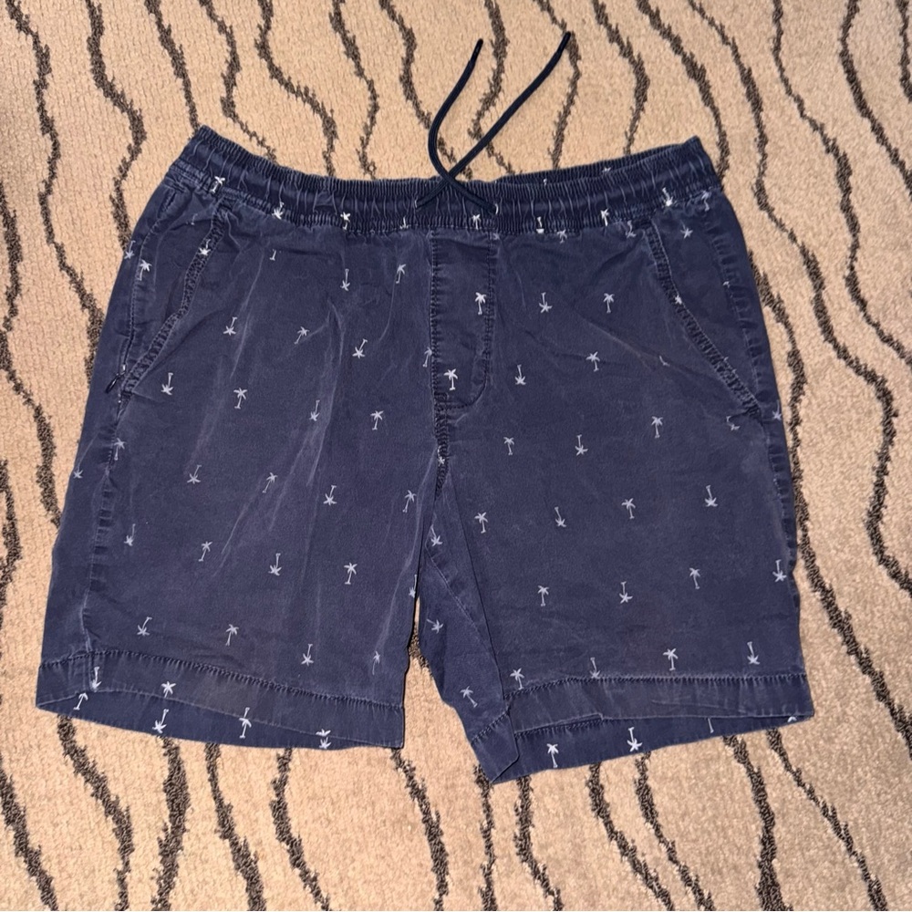 Hollister Blue Flat Front Shorts with Anchor Print